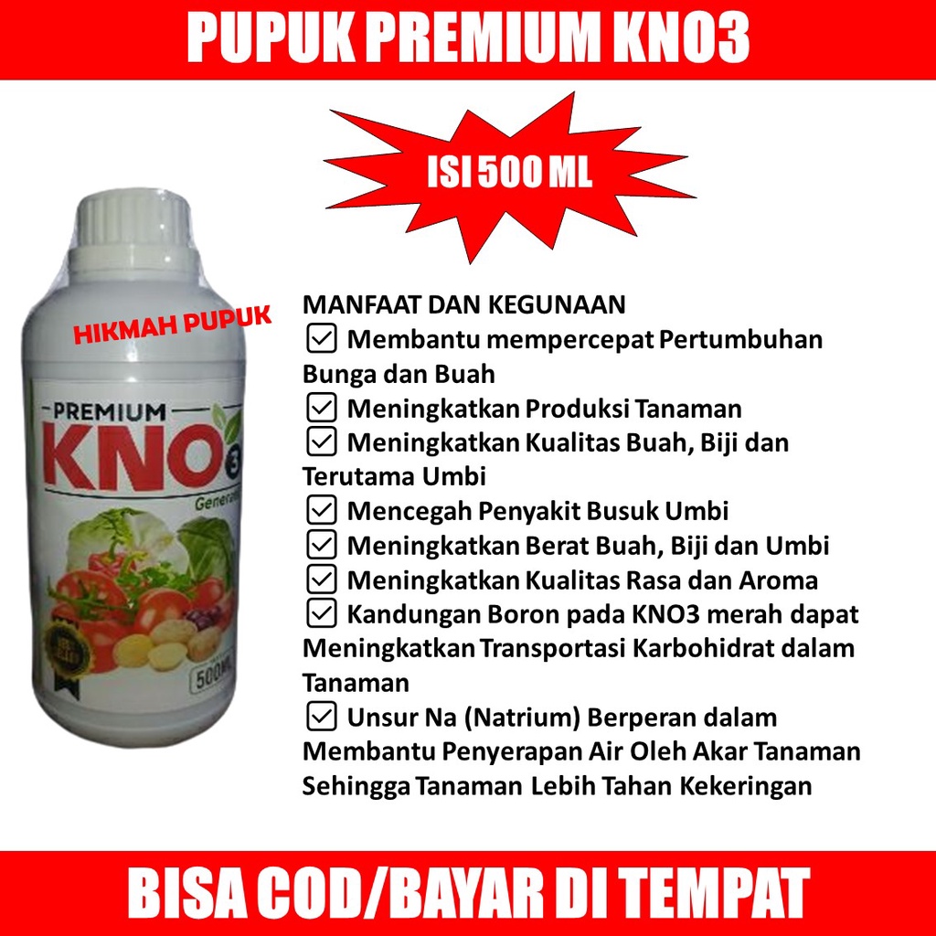 PUPUK PEMBESAR BUAH PADI Pupuk Pelebat Padi dan Booster Perangsang Padi di Sawah Supaya Cepat