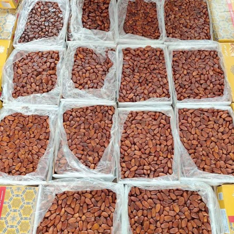 

KURMA TUNIS MADU