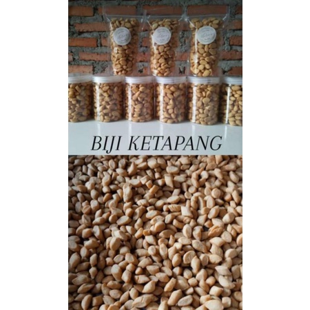 

biji ketapang