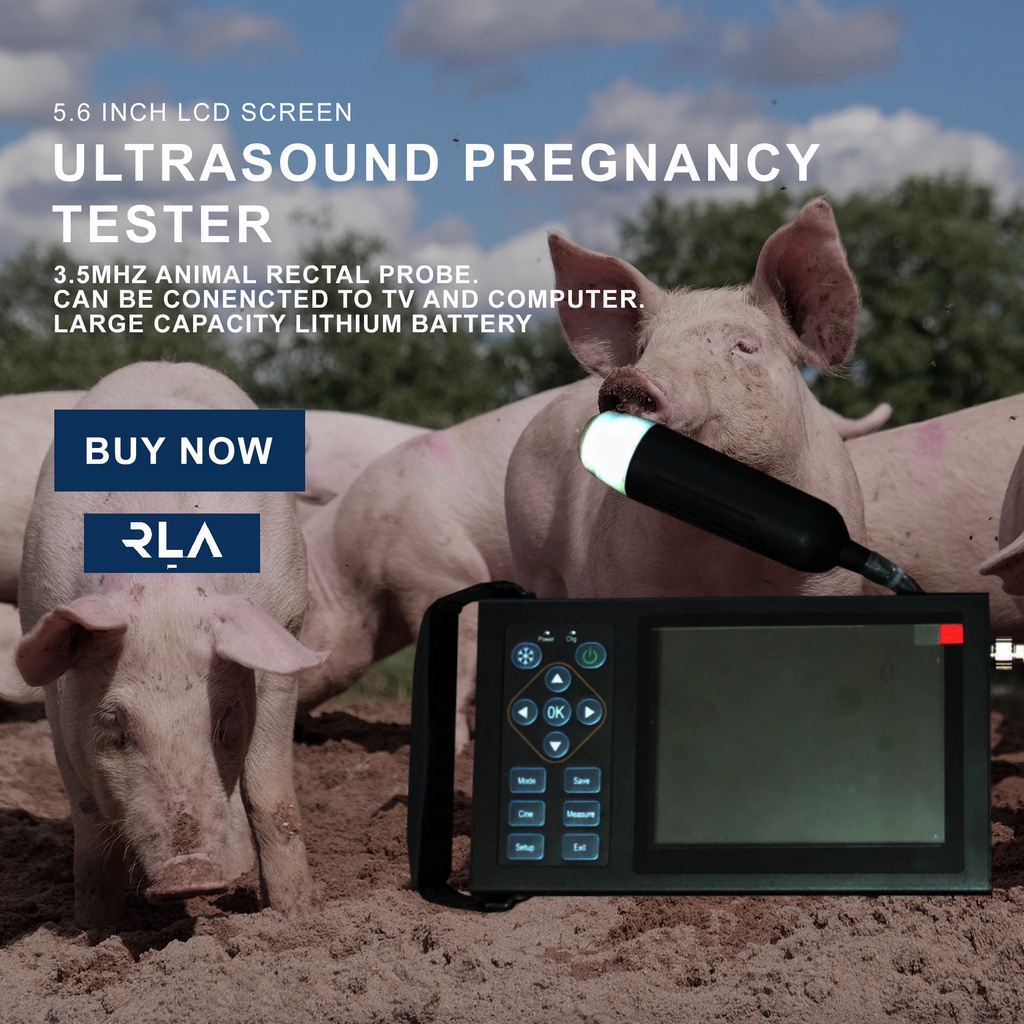 Ultrasound Babi - USG Alat Check Kandungan - Deteksi Kebuntingan Hewan - Tes Kehamilan Domba Kambing