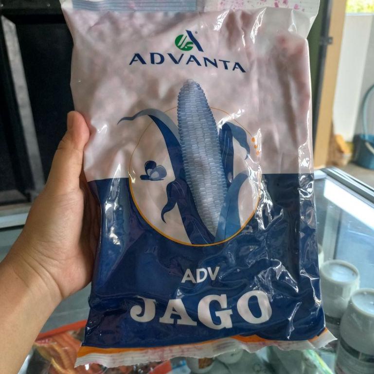 Benih Jagung ADV Jago 1kg