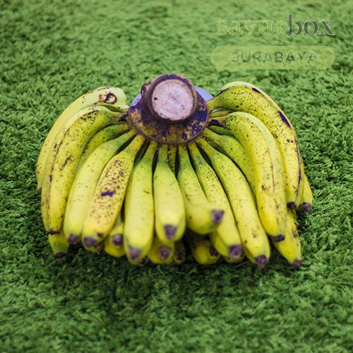 

Pisang Ambon Konvensional 1 sisir (Sayurbox) - SURABAYA