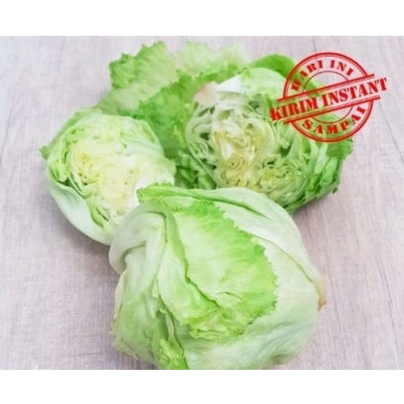 

Lettuce Head [500 gram]