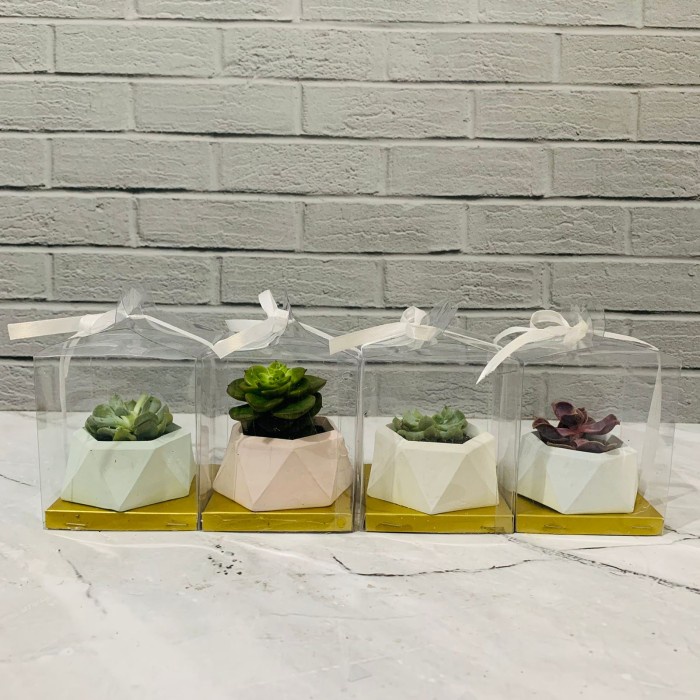 SOUVENIR MIKA POT DIAMOND + SUKULEN MINI