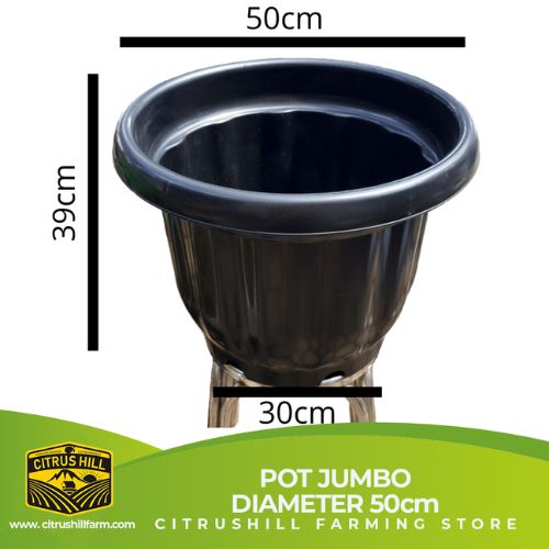 POT JUMBO - POT JUMBO BUNGA - POT JUMBO DIAMETER 50cm