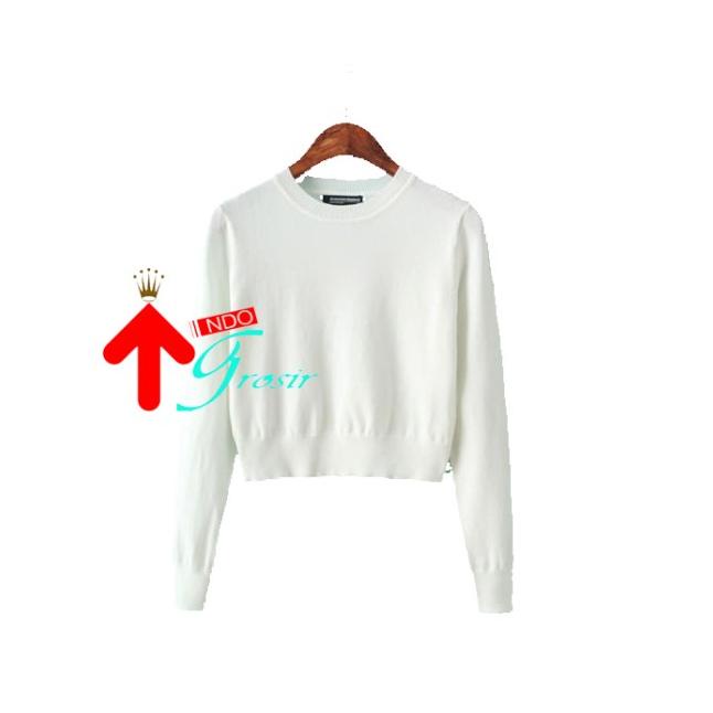 JAKET SWEATER HOODIE CROP POLOS SETENGAH BADAN POLOS