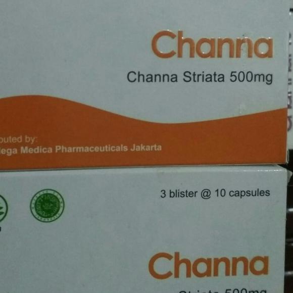channa striata 500mg ekstrak ikan gabus