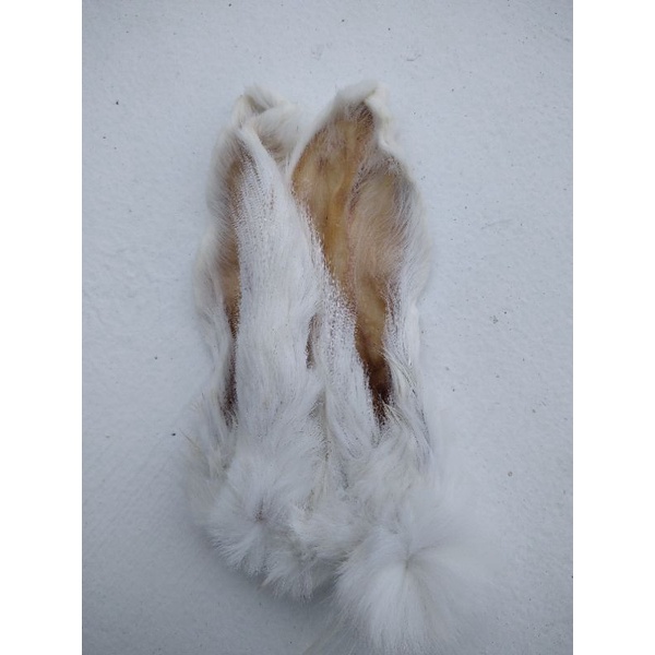 Rabbit Ear Snack Anjing & Puppies/ Kuping Kelinci Pakan Anjing