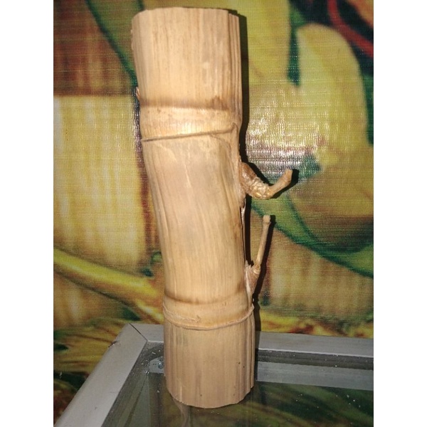 bambu petuk,unik,langka,alami