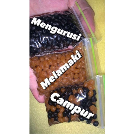 

(jastip 15 September) JAMU NINI BERAJAH original 100% ✨(berajah)