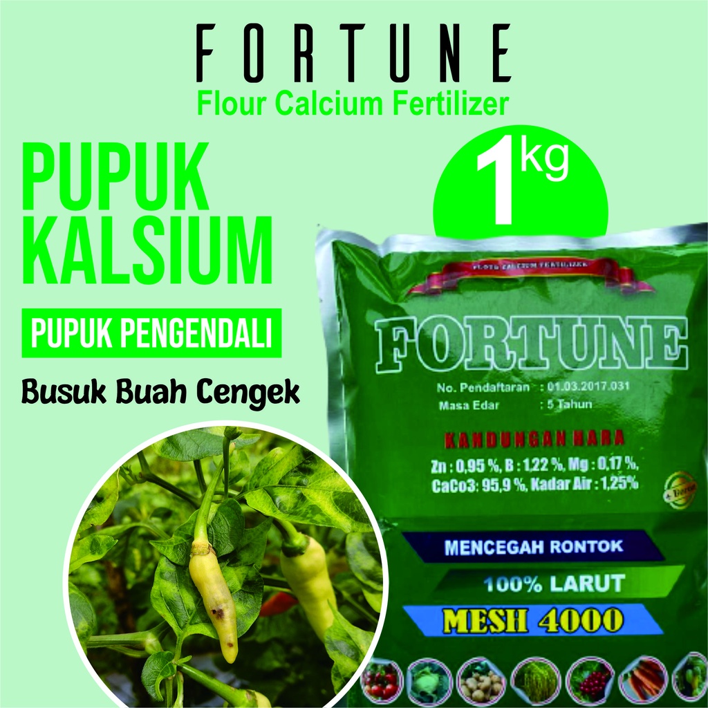 FORTUNE 1 KG Obat Semprot Daun Cabe Keriting Bule Dan Kuning Bulai Cabai Rawit Basah Kering Penyubur