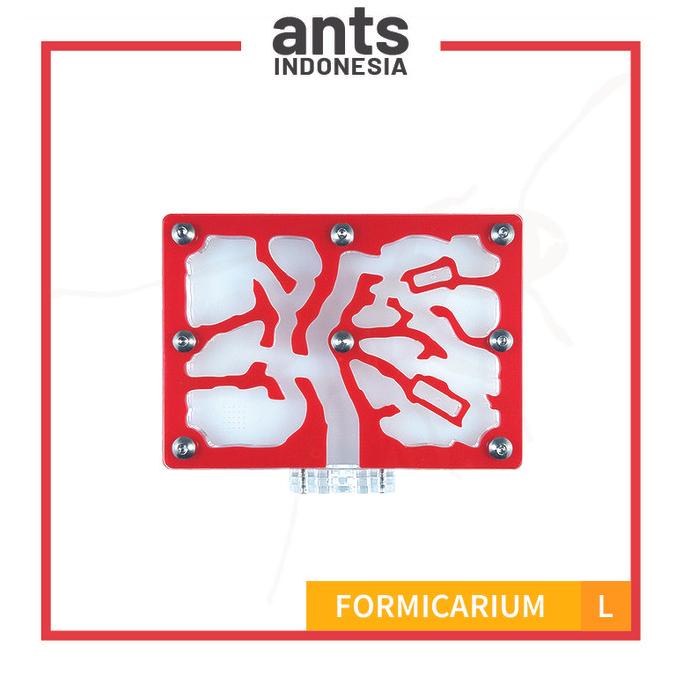 Formicarium L