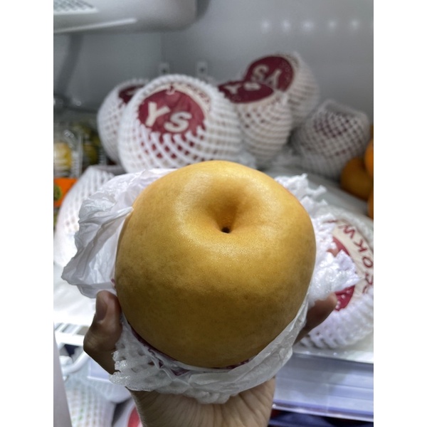 

Pear Korea Coklat