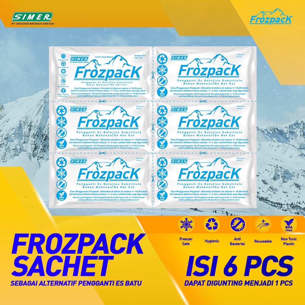 Frozpack Ice Gel Ice Cooler