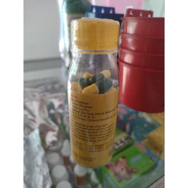 Supra Bone Obat Lumpuh Memperkuat Tulang Sakit Sendi Keram Sapi Kambing Domba