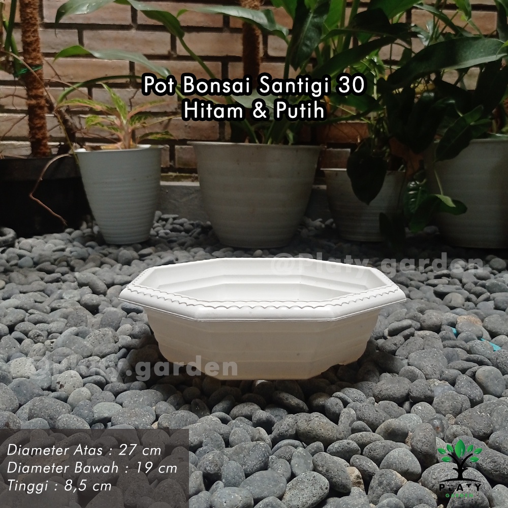 Pot Bonsai Santigi 30 | Pot Tanaman Ceper