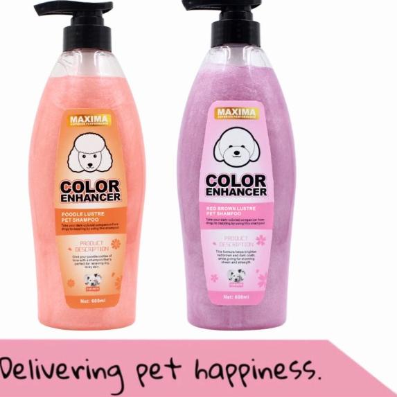 Shampoo anjing Poodle Red / Brown Maxima - Poodle shampoo