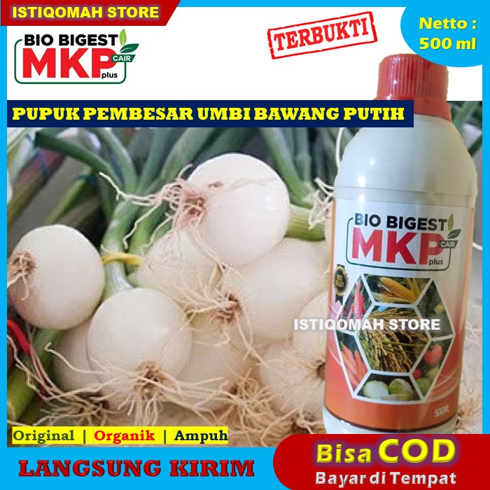 COD Bayar di Rumah BIO BIGEST MKP Cair Plus 500ml Pupuk Pembesar Umbi Bawang Merah Terbaik yang Bagus dan Ampuh BIOBIGEST MURAH TERLARIS - Obat Alami Pembesar Umbi Bawang Merah Manjur