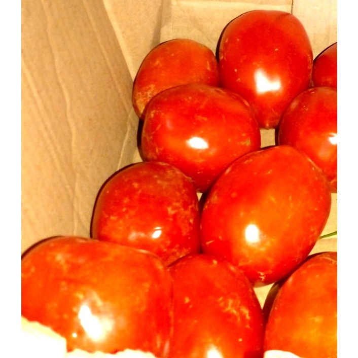 

TOMAT 250 gr