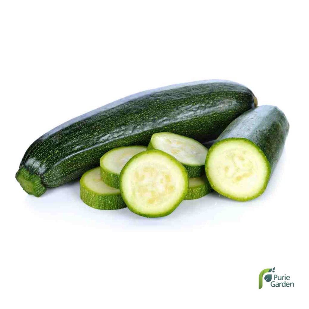 Benih Bibit Zucchini 2 Benih Dua Ribuan PG KDR