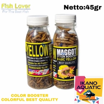 Pakan Ikan Predator Maggot FL botol sedang Blue, yellow, Red