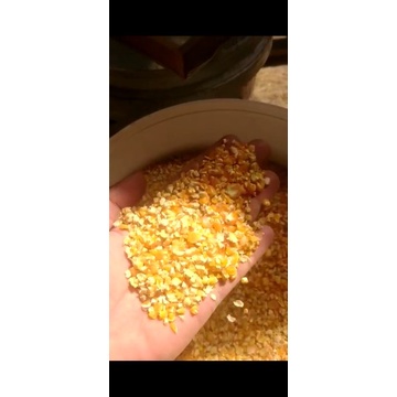 jagung giling kering super 1kg untuk pakan ayam , bebek , unggas dll