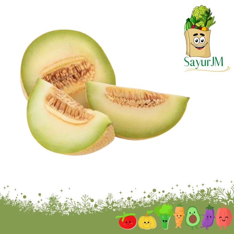 

SayurJM - Buah Melon 1 buah 1.5kg - 2 Kg / Buah Segar