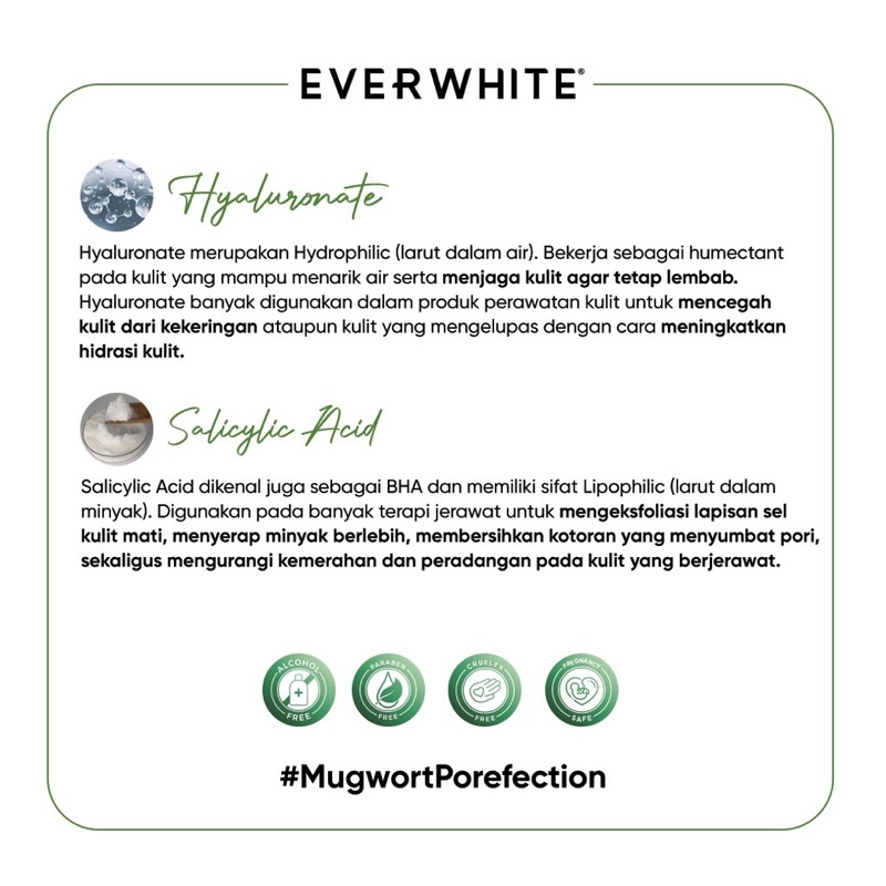 EVERWHITE Mugwort Pore Clay Mask 125gr