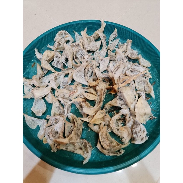 

sarang burung walet patahan wallet kotor sarangburungwaletwalletkotorbird nest birdnest 燕 窝 燕窝 yenwo yen wo alami 100%