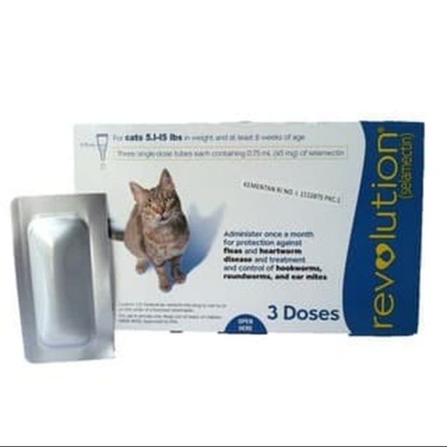 Jual Revolution Cat Revolution Cat Adult Kinss K6B6 Revolution Cat 1tube Revolution Cat Adult