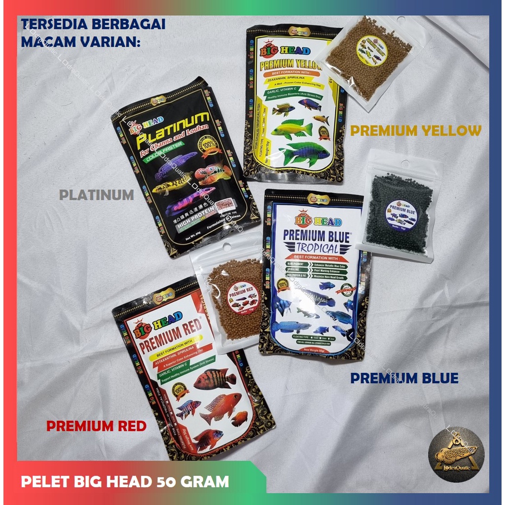 PELET BIG HEAD 50 GRAM PELET PROTEIN TINGGI SPESIAL BOOSTER WARNA CHANNA  PELET LOUHAN ANTI STRESS PELET PREDATOR PELET PREMIUM YELLOW PREMIUM RED PREMIUM BLUE PELET BIG HEAD PLATINUM BOOSTER WARNA IKAN PELET CUPANG GUPPY CICHLID LOUHAN CHANNA ARWANA