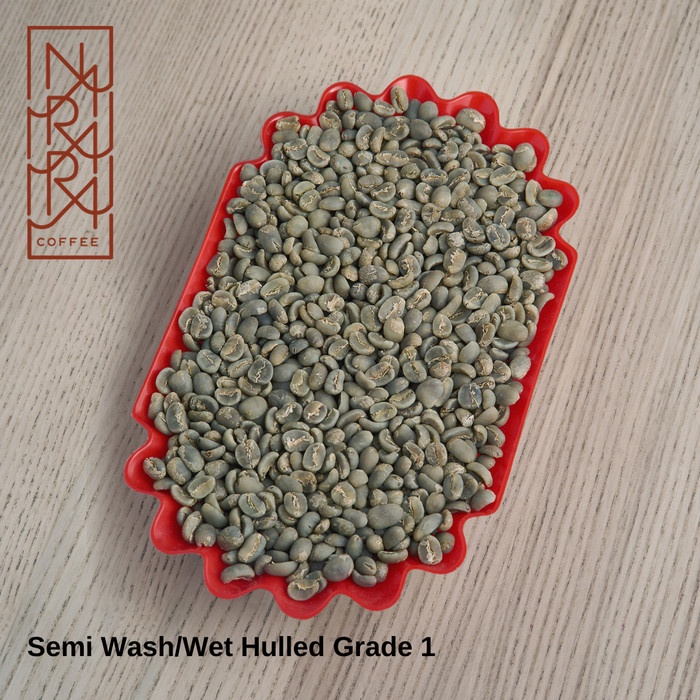 

Discount Green Bean 1kg GRADE 1 MANDHELING SEMI WASH -Biji Kopi Sumatra Arabika /KOPI RUBE/KOPI