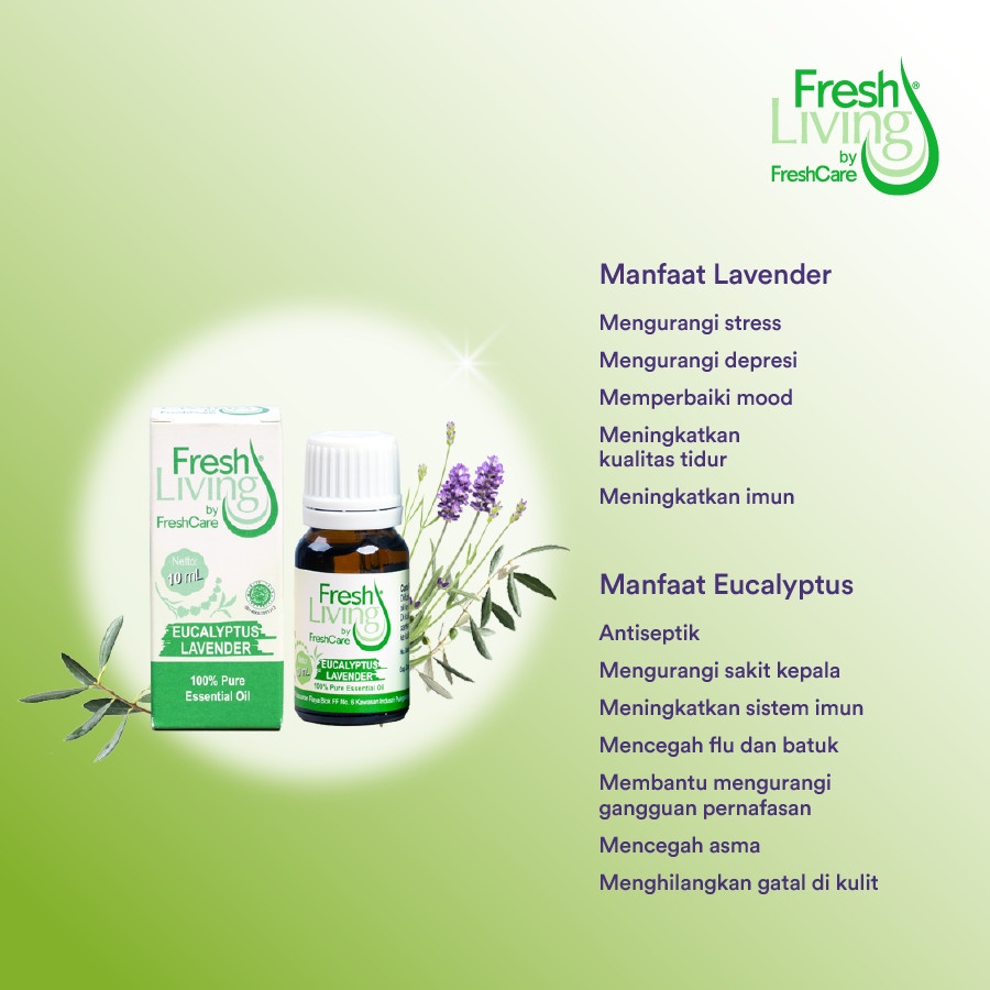 ★ BB ★ FreshLiving Essensial Oil 10ml - Minyak Zaitun 50ml - Zaitun Lotion 80gr - Fresh Living