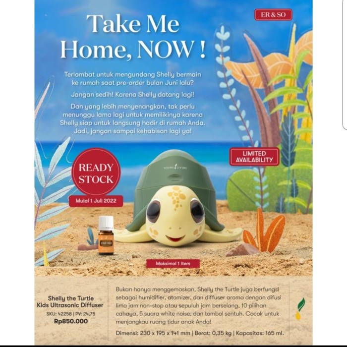 SALE Shelly the turtle diffuser young living gratis membership - Shelly + citrus