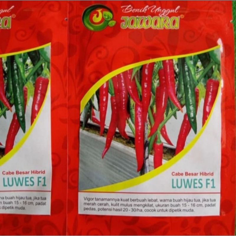 Benih Cabe Merah Besar LUWES F1 isi 10 Gr Bibit Cabe Merah Besar