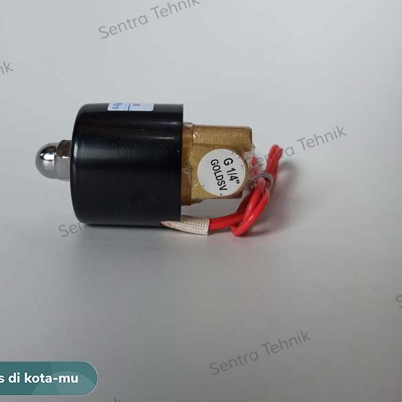 Solenoid Valve 1/4" 1/4 inch 220VAC