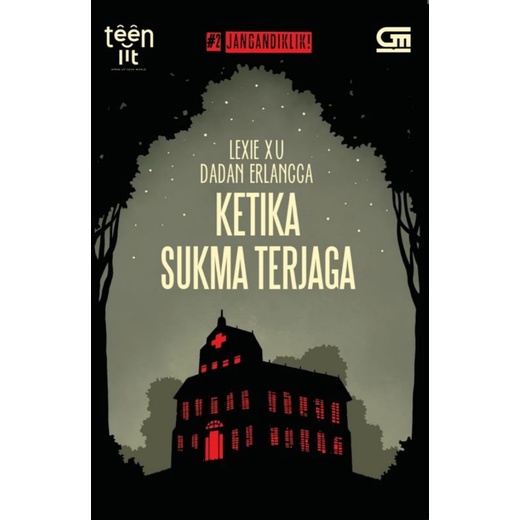 novel ketika sukma terjaga