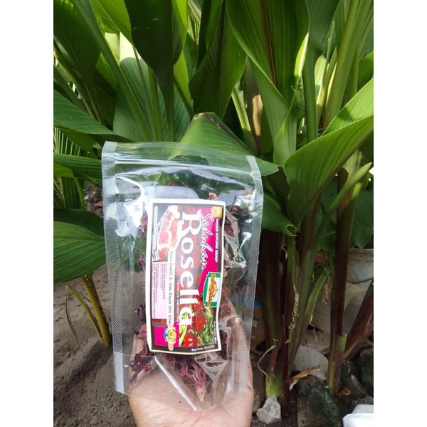 Bunga rosela