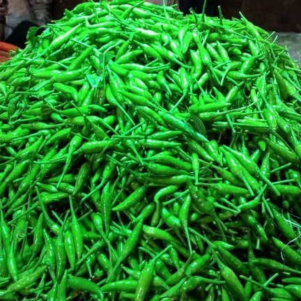 

cabe rawit hijau 100gr