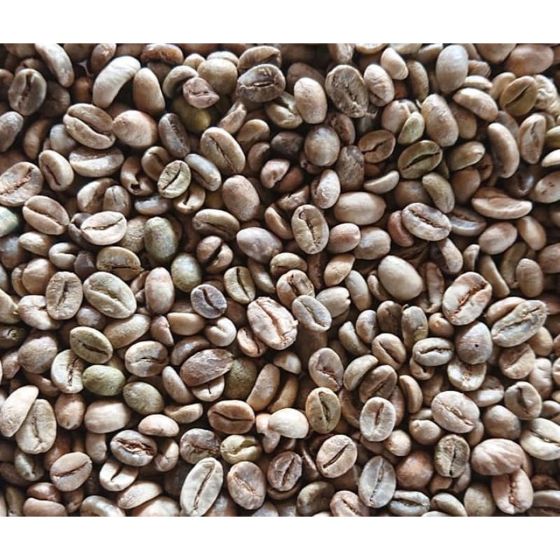 

greenbean Arabika asalan 1kg