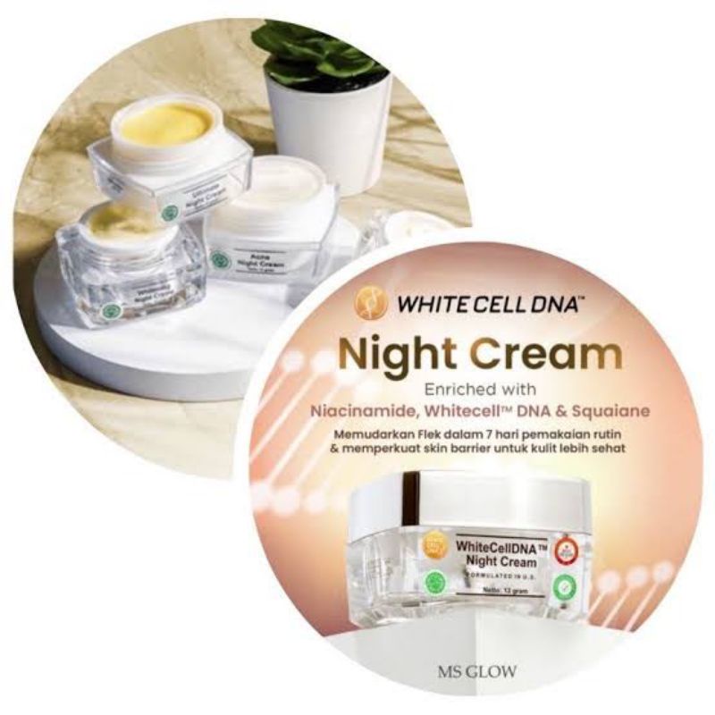 MS GLOW WHITE CELL DNA NIGHT CREAM MS GLOW ORIGINAL