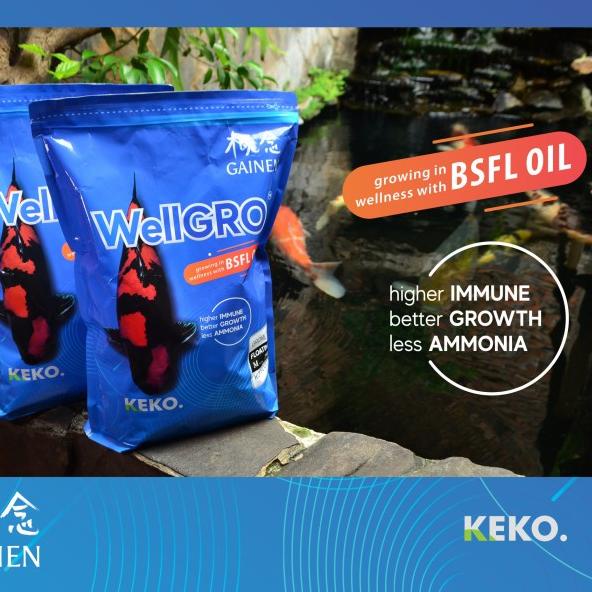 Pakan Koi - WELLGRO Growth 2 Kg (M) - Floating