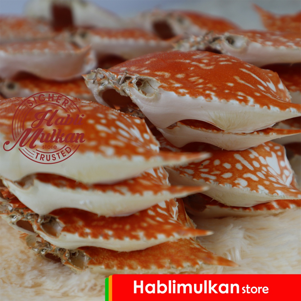 

100 Pcs RANDOM Totok Cangkang Rajungan Untuk Penyajian Seafood Bukan Cangkang Kepiting