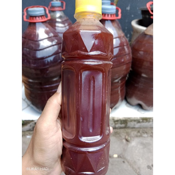 bakteri fotosintesis/PSB 600ml