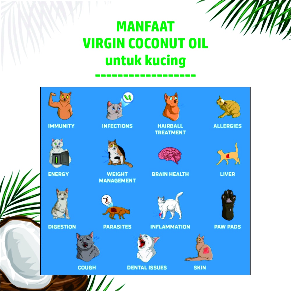 VCO Obat Jamur Scabies Kucing Anjing Perawatan Bulu Virgin Coconut Oil | MInyak VCO 100 ml