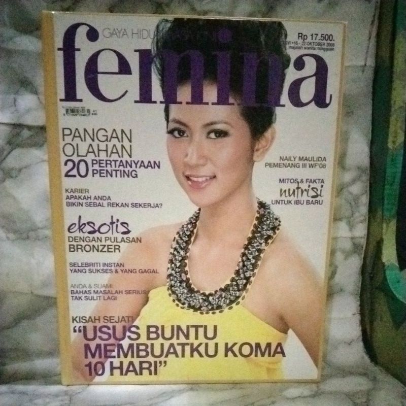 bundel MAJALAH FEMINA (November 2008)