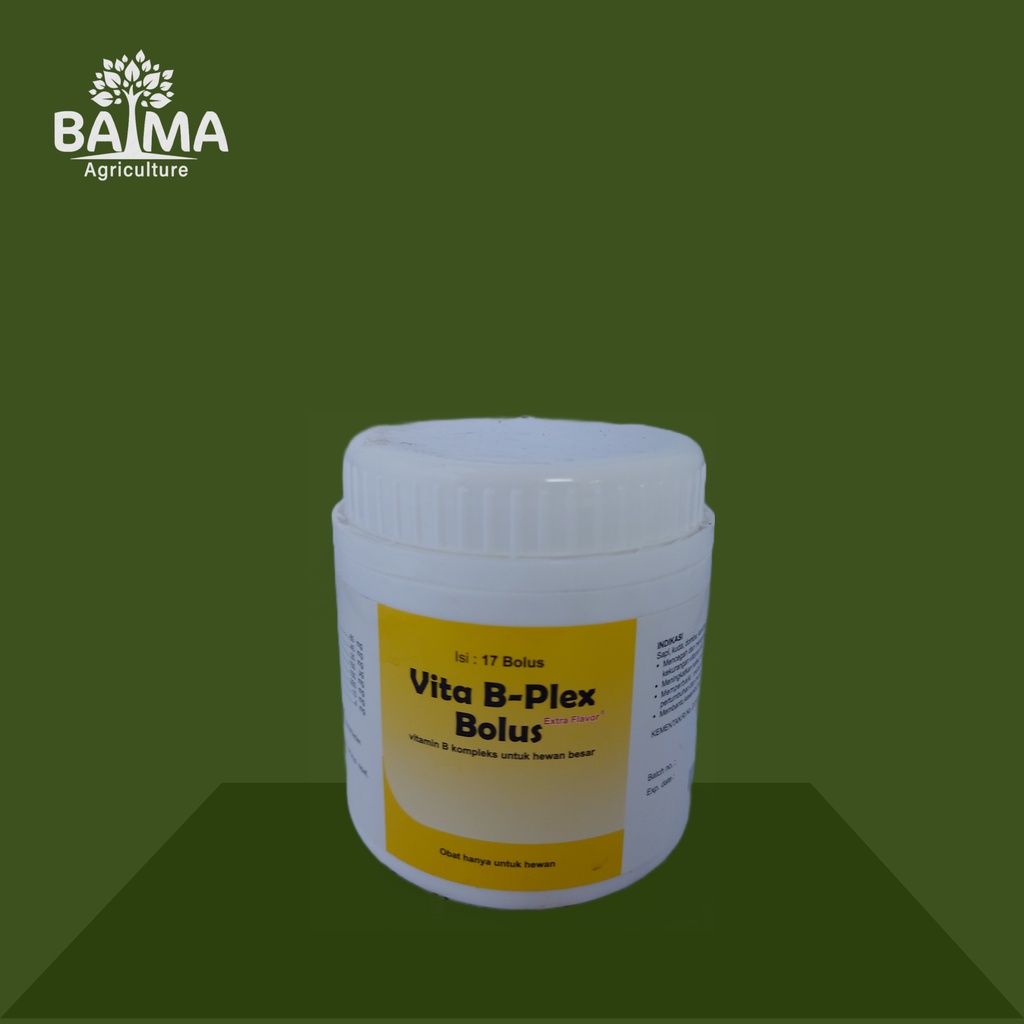 Vita B Plex Bolus vitamin b kompleks