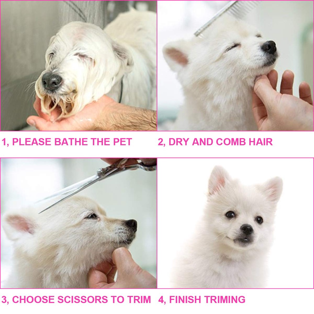 5 Pcs Dengan Sisir Grooming Gunting Set Perawatan Rambut Melengkung Berguna 6 Inci Anjing Kucing