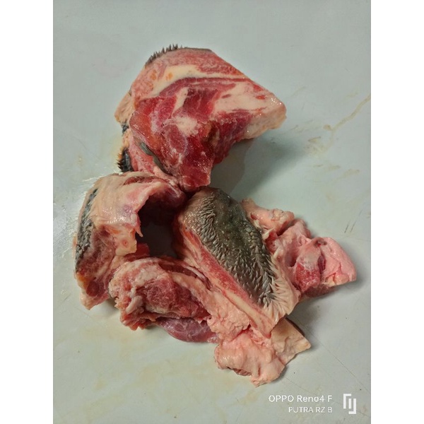 

Daging kepala (Lips) 1kg