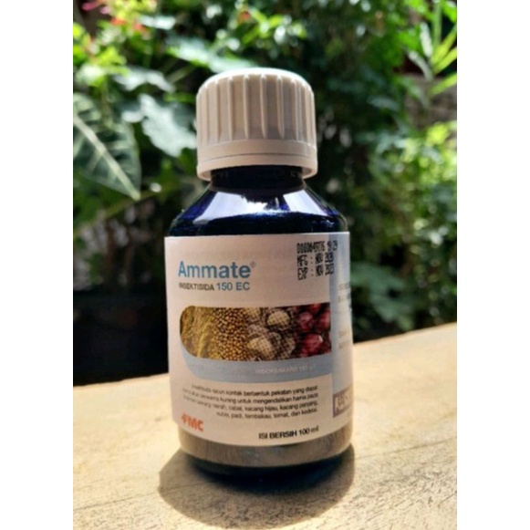 insektisida ammate 100ml